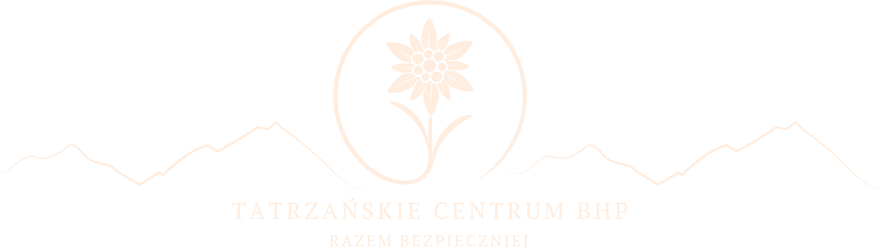 Main logo